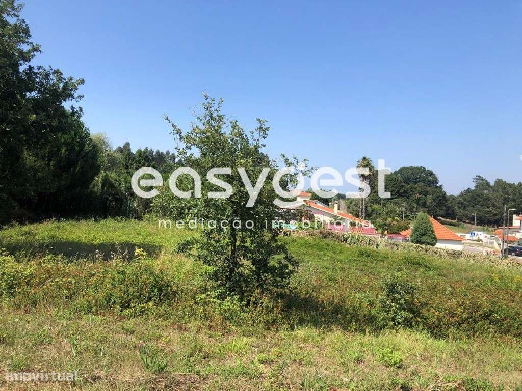 Terreno Rústico com pinheiros mansos em Calvaria de Baixo - Batalha - Grande imagem: 5/12