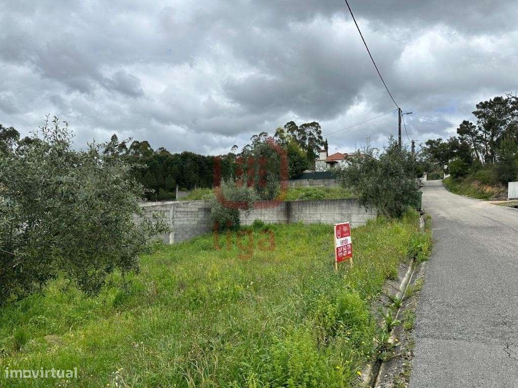 Terreno C/Viabilidade de construção! - Grande imagem: 5/5