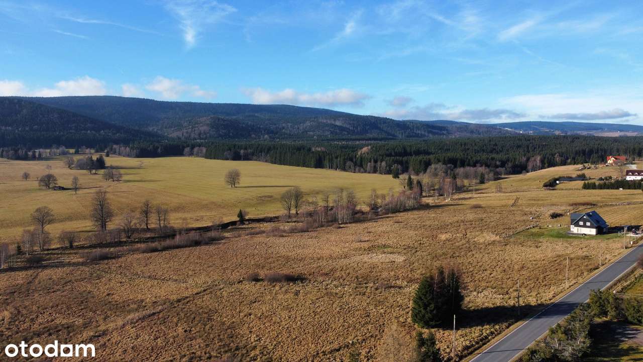 Lasówka działka budowlana przy drodze asfaltowej-4