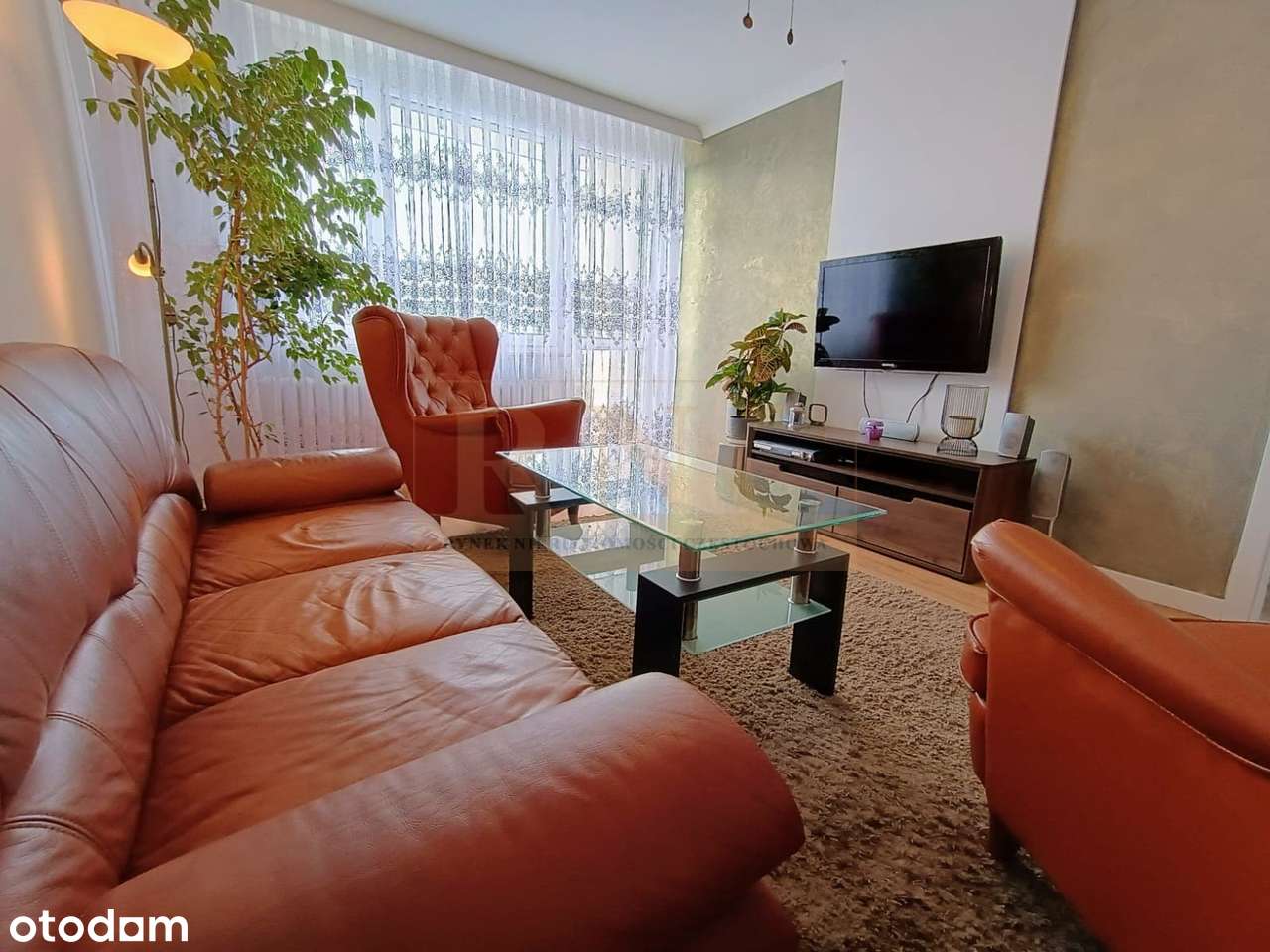 2 pokoje w dzielnicy Północ | Świetna lokalizacja | Duży balkon - Pełny obrazek: 2/12