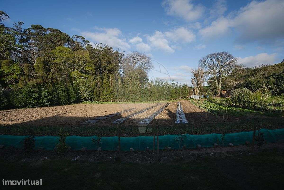 Moradia T4 para venda-25