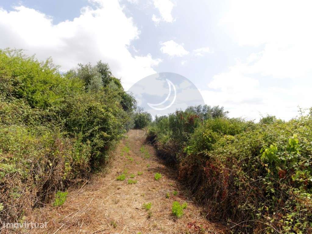 Moradia V2 Terreno Poço-28