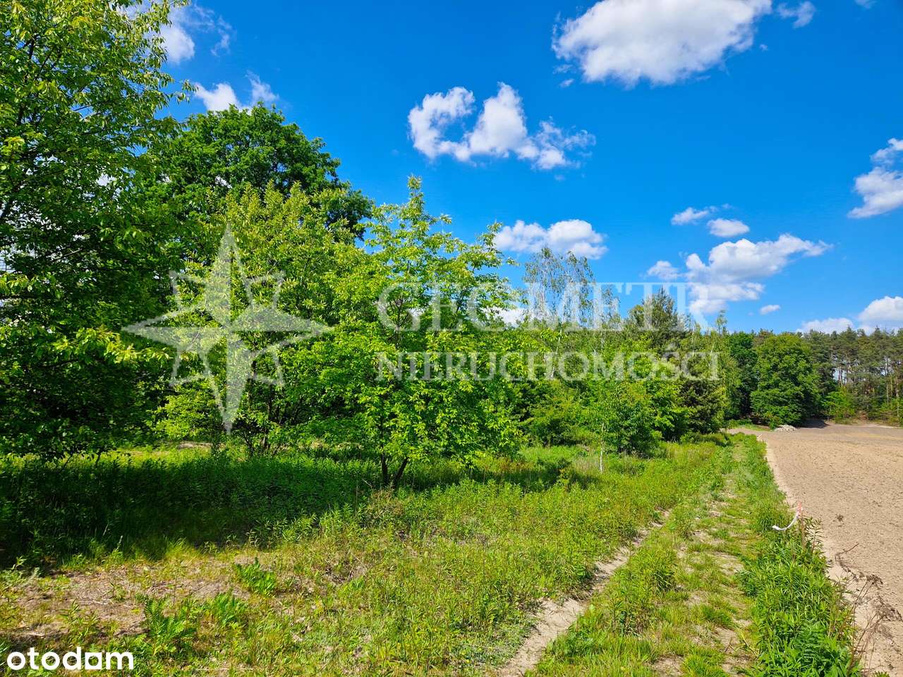 na granicy z Warszawą, pod lasem-6