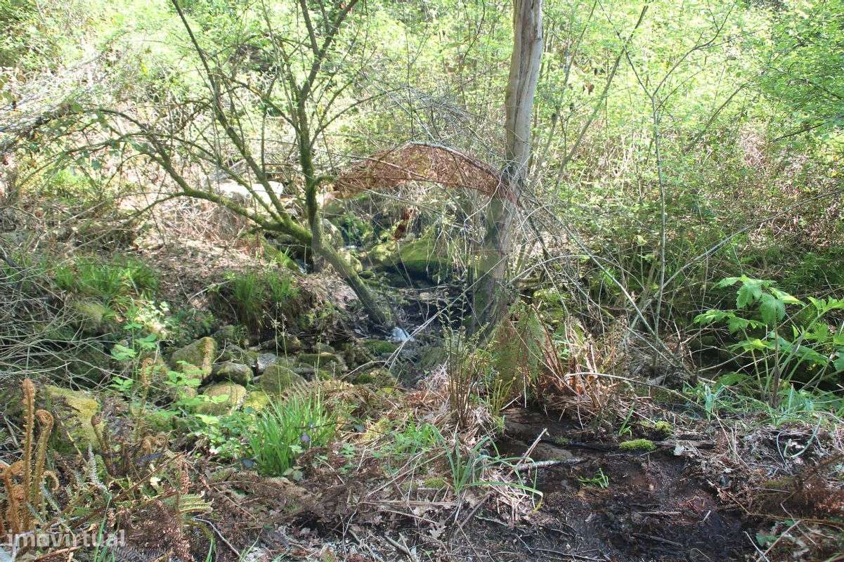 Terreno T0 para venda - Grande imagem: 4/10