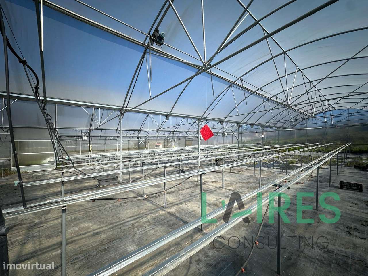 Quinta Agrícola com 3ha - Grande imagem: 4/10