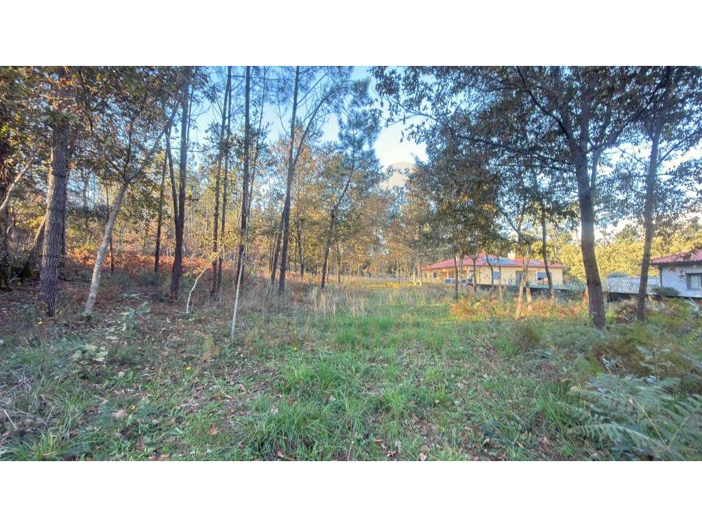 Terreno com PIP Aprovado - São Pedro de Arcos, Ponte de Lima - Grande imagem: 5/6