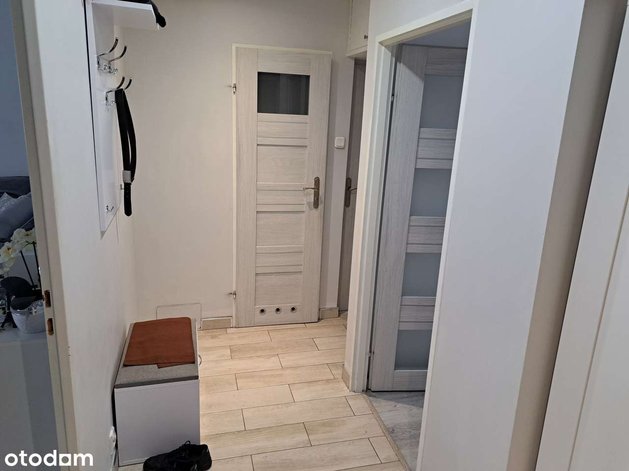 Legnicka 63m2 blok 3 pokoje 1 piętro - Pełny obrazek: 5/12