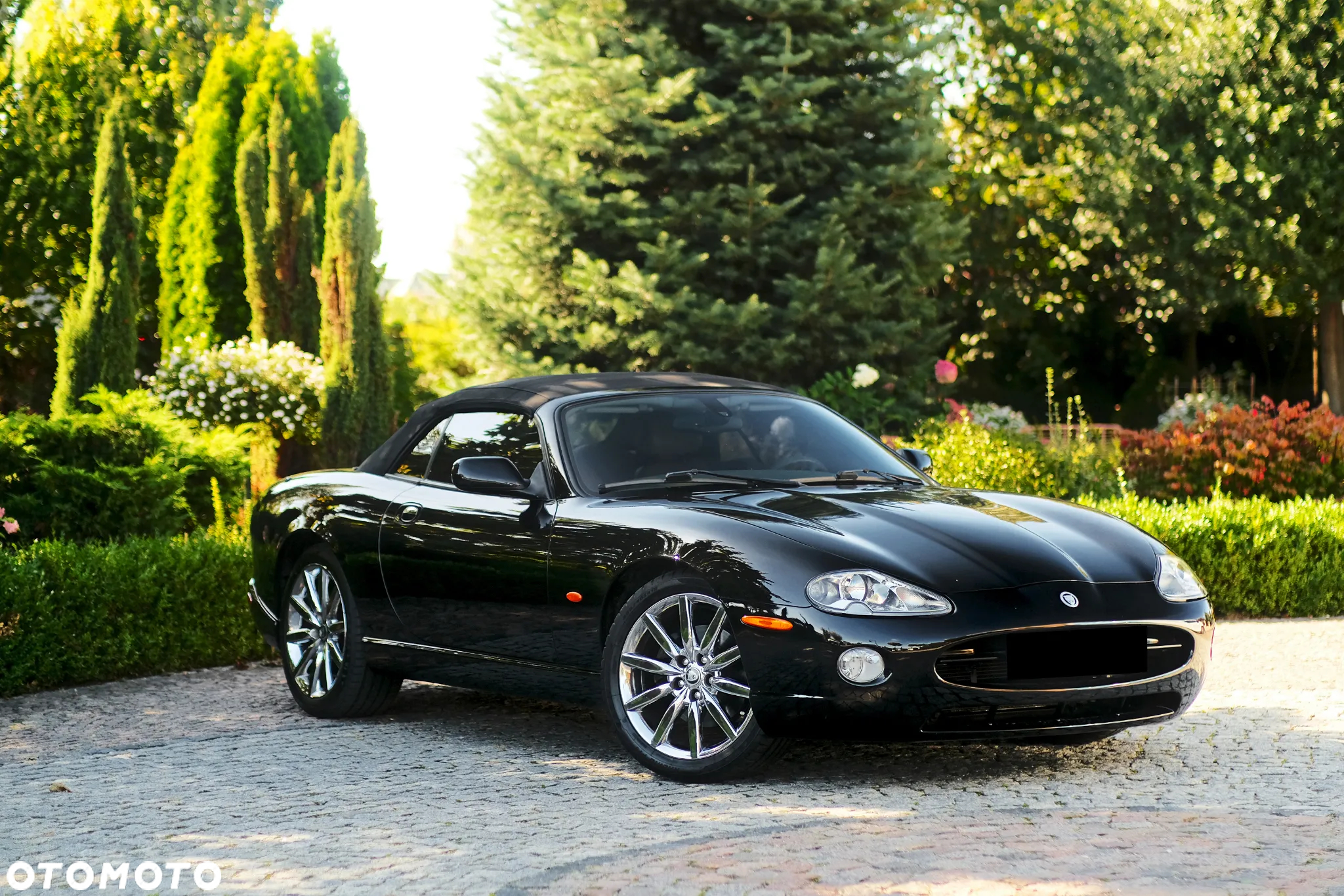 Jaguar XK8 4.2 - 15