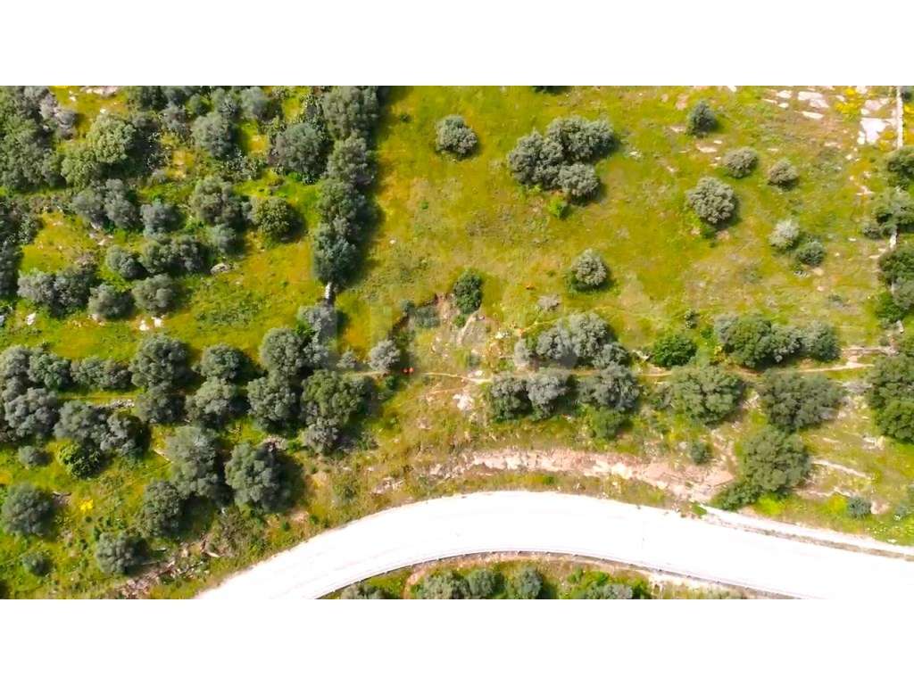 Terreno na Encosta do Castelo de Monsaraz-17