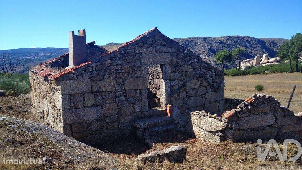 Quinta em Corujeira e Trinta de 36870,00 m2 - Grande imagem: 3/25