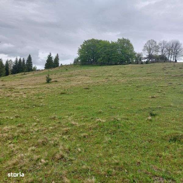 Vand teren in Bucovina!! 2.5 ha din care 7000 m2 intravilan - Imagine principală: 5/8