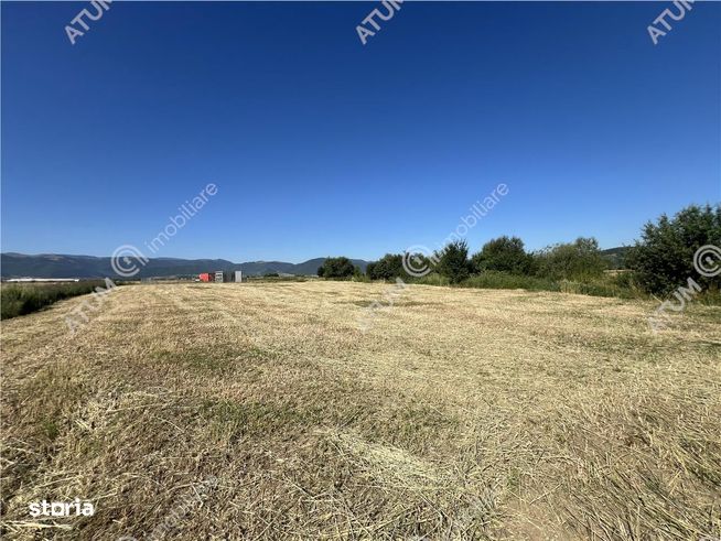 Teren intravilan de 543 mp cu PUZ constructie duplex in Cristian-2