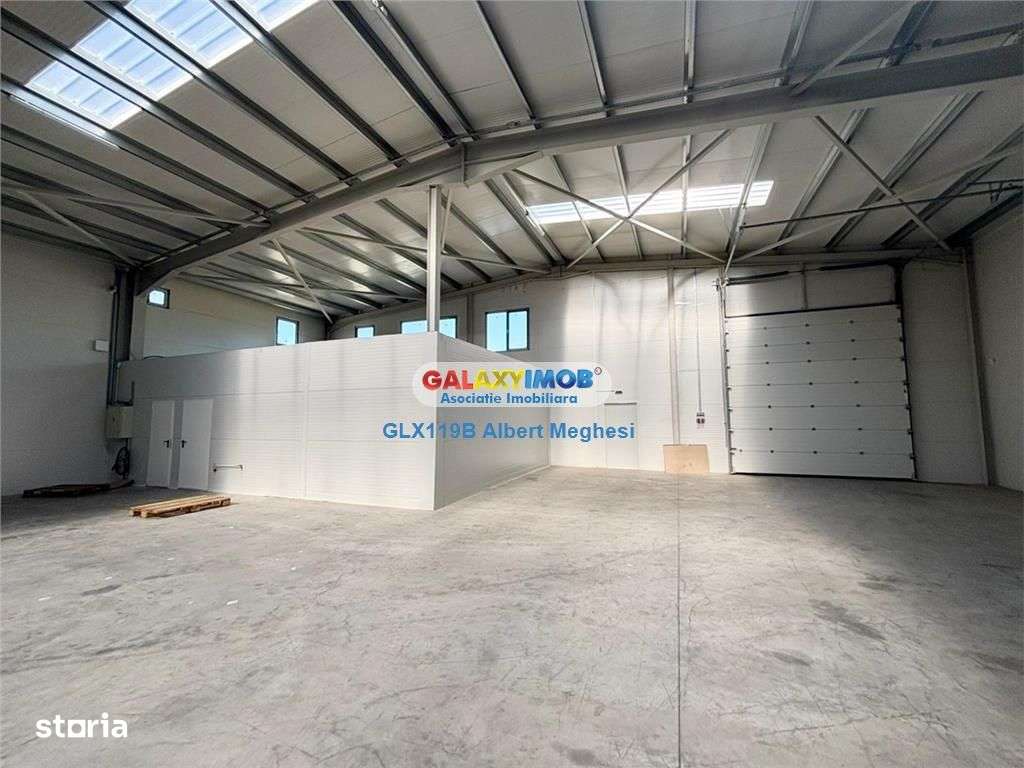 Inchiriere hala depozitare Parc Industrial TBM Rudeni - Imagine principală: 2/18