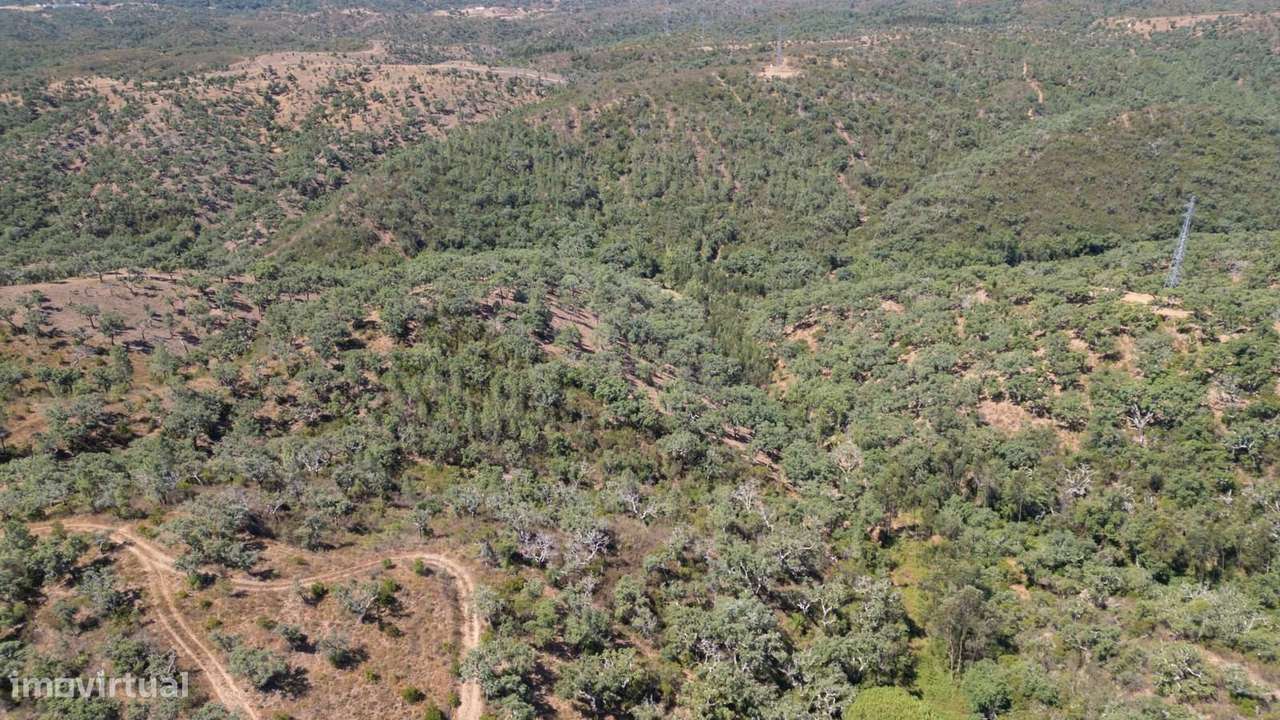 Terreno Misto 10.0 ha, São Francisco da Serra, Santiago do Cacem - Grande imagem: 4/18