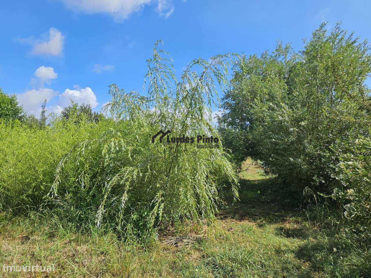 Quinta com habitação-8