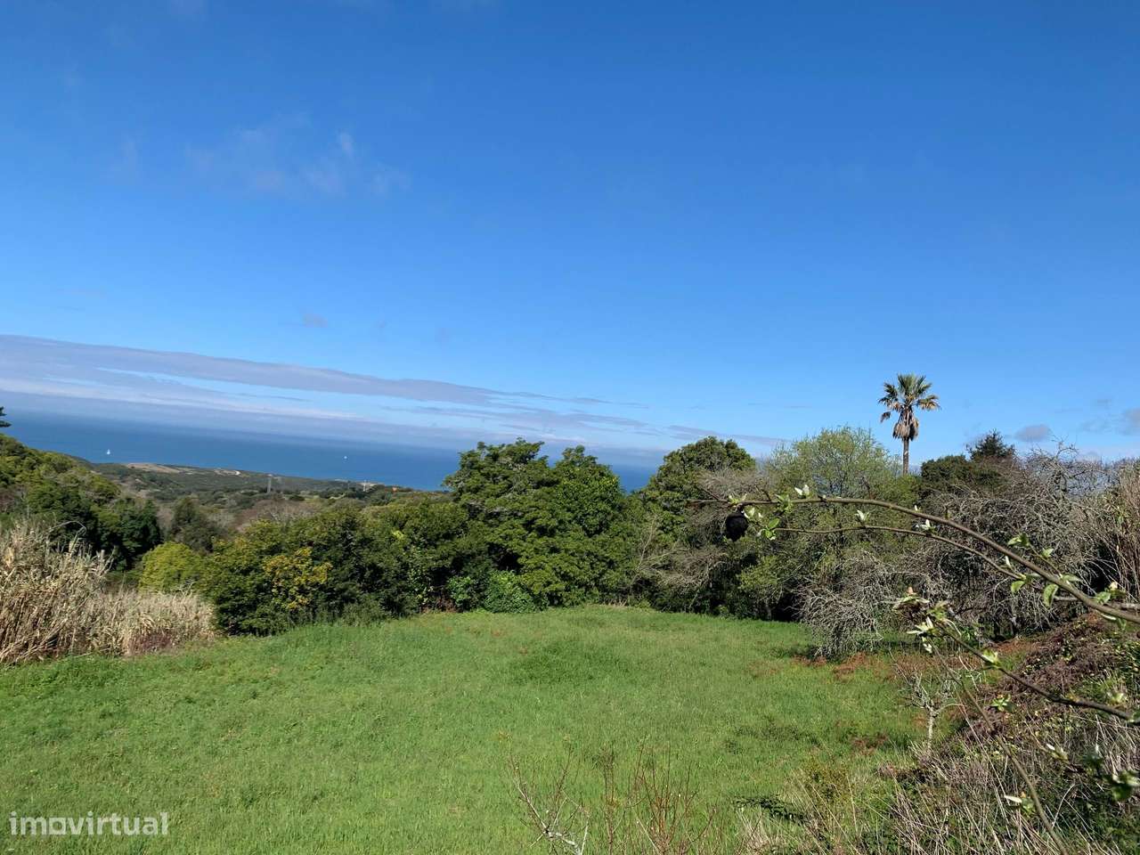 Terreno Rústico Colares - Vista Mar - Grande imagem: 5/7