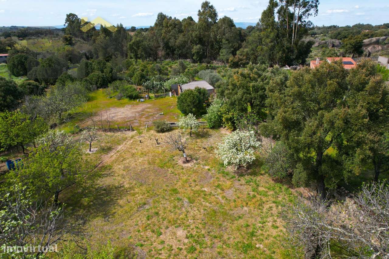 Lote de Terreno  Venda em Escalos de Baixo e Mata,Castelo Branco - Grande imagem: 5/15