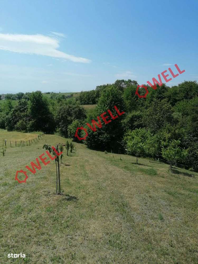 Teren intravilan de vânzare în Calnic! - Imagine principală: 5/11