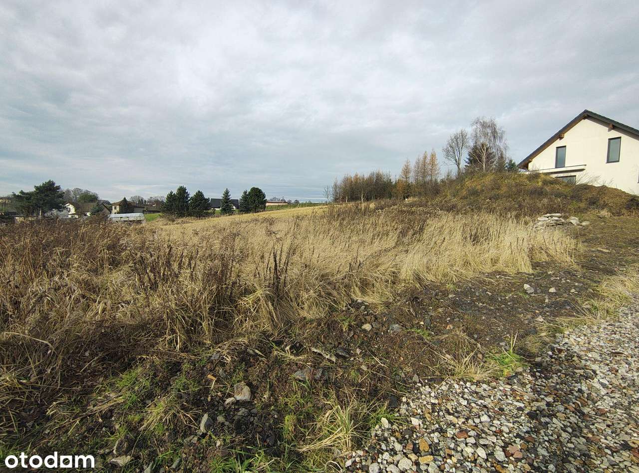 Duża działka w spokojnym miejscu - Pełny obrazek: 4/5