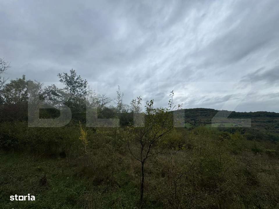 Teren intravilan in Boholt, 11.510 mp - Imagine principală: 2/2