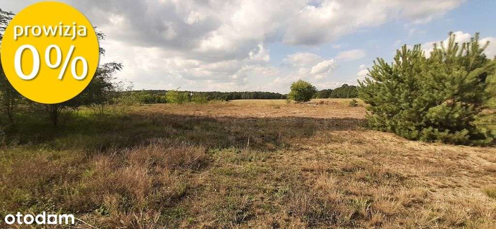 Urokliwa działka z widokiem na las- Letnica - Pełny obrazek: 4/6