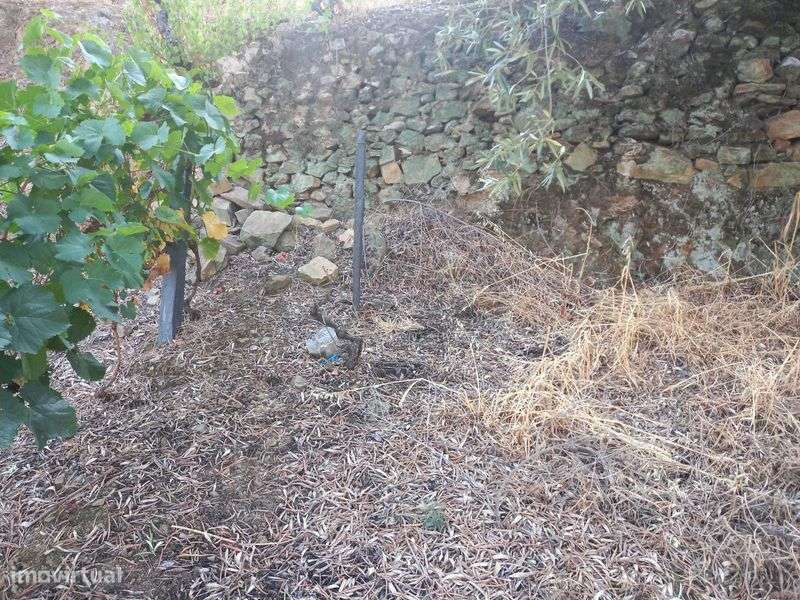 Terreno Rústico - Vacalar, Armamar - Grande imagem: 4/6