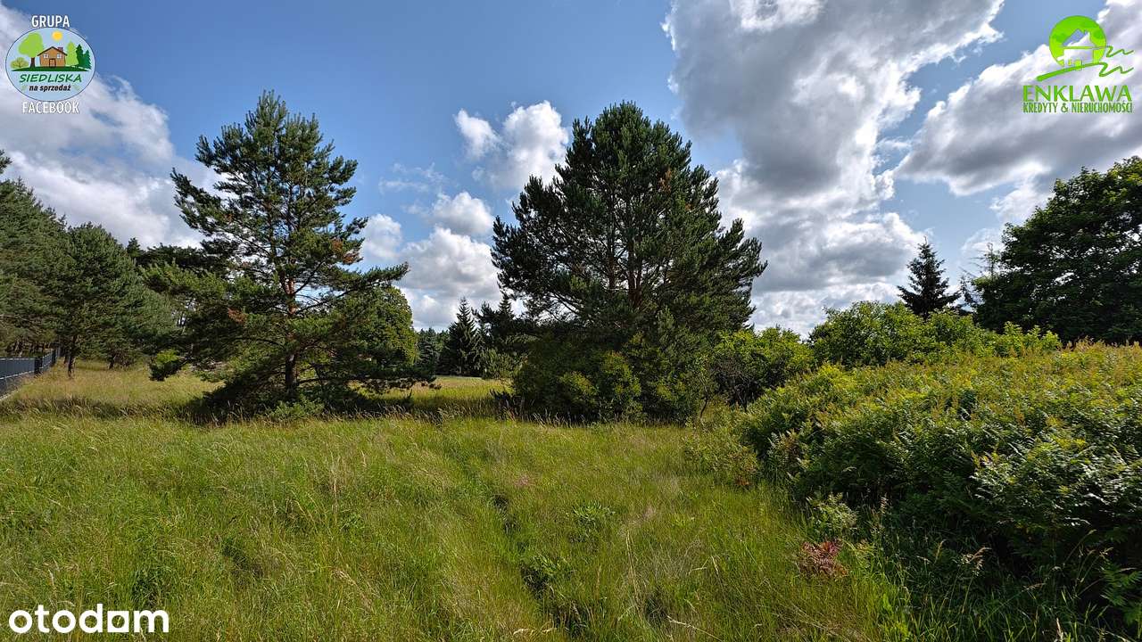 ENKLAWA prezentuje: działka w CUDNEJ okolicy! 4 x JEZIORO + LASY!-12