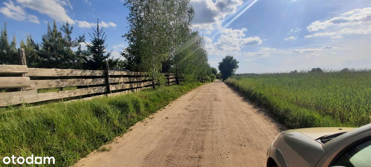 Działka SIEDLISKOWA 1MR 40km od Poznania lasy  jezioro, stadnina koni-6