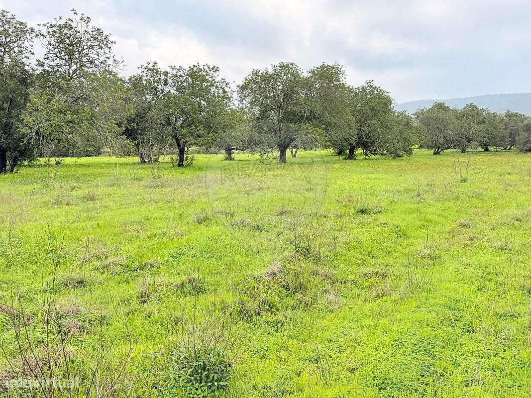 Terreno  para venda - Grande imagem: 4/8