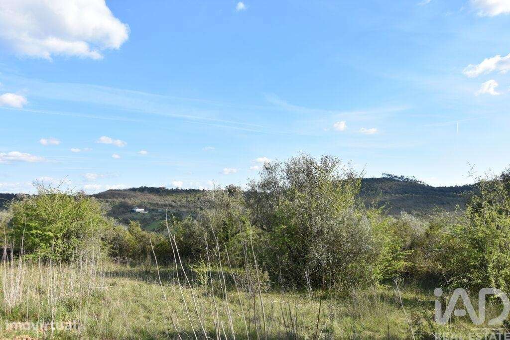 Terreno Agrícola em Chãos - Grande imagem: 4/32