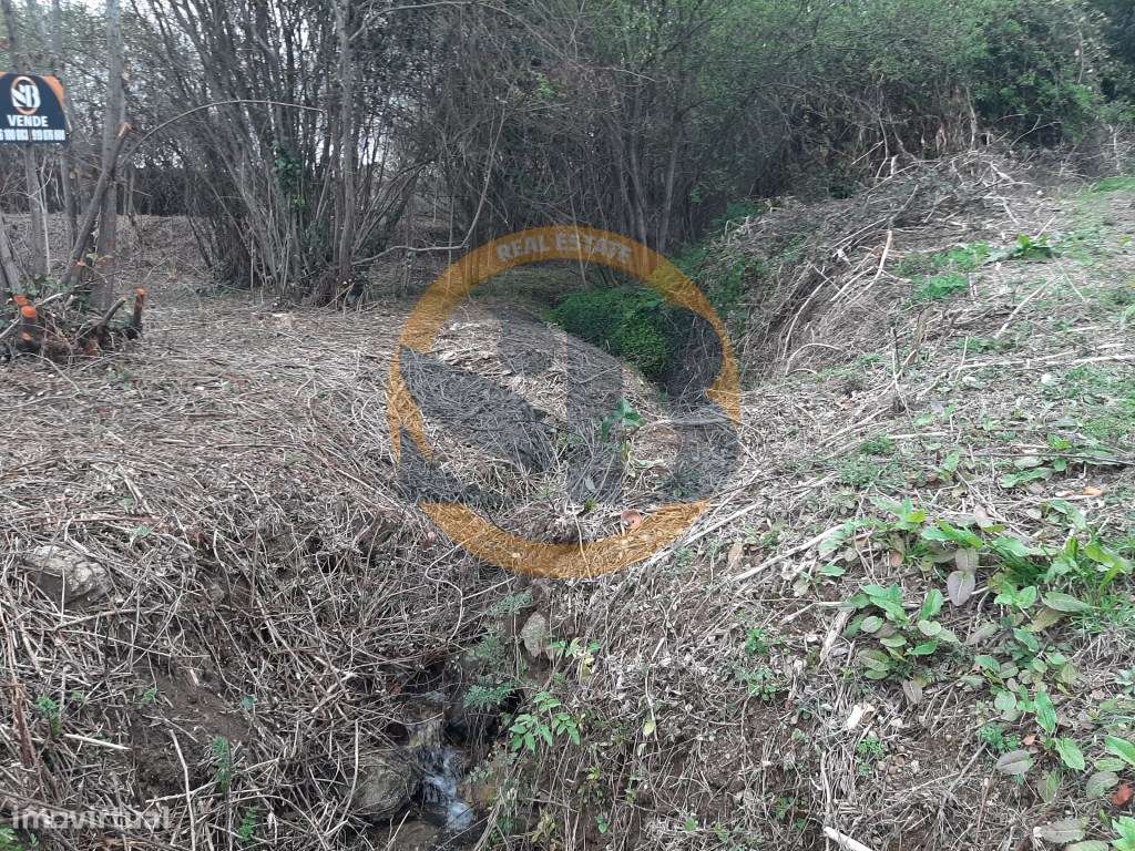 Terreno Oliveira de Azeméis - Grande imagem: 3/7
