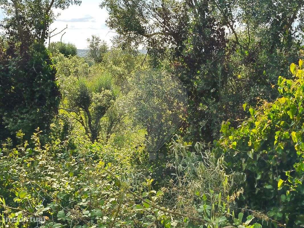 Terreno  para venda - Grande imagem: 4/5