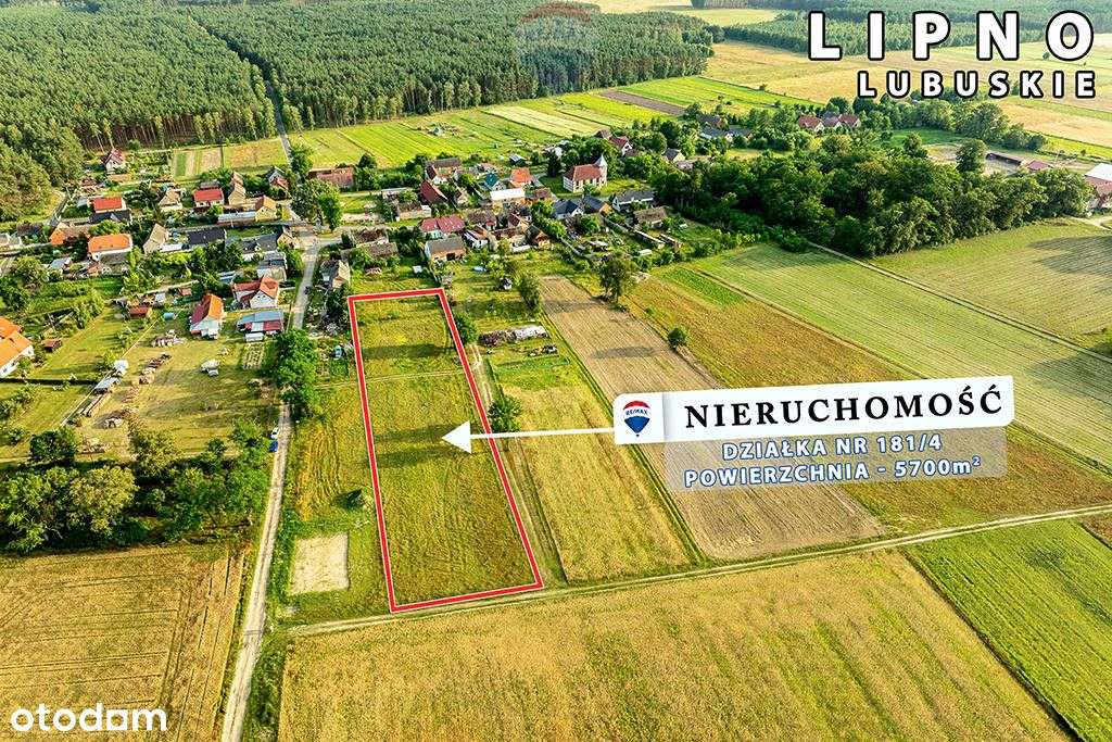 Na sprzedaż działka rolna z warunkami zabudowy - Pełny obrazek: 4/12