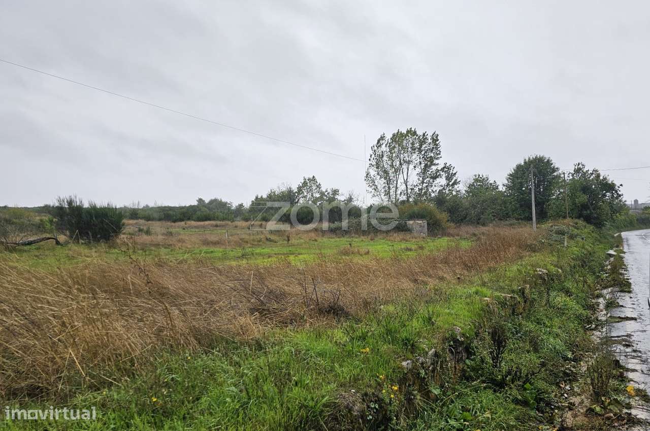 Terreno, 14 150 m², Vila Chã - Grande imagem: 2/15