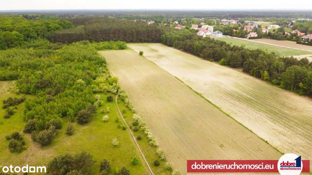 Dla inwestora, 26tys m2 z lasem, Myślęcinek - Pełny obrazek: 2/5