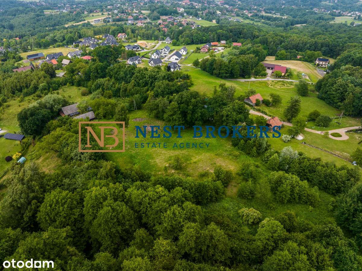 Działka dla Ciebie! - Pełny obrazek: 5/7