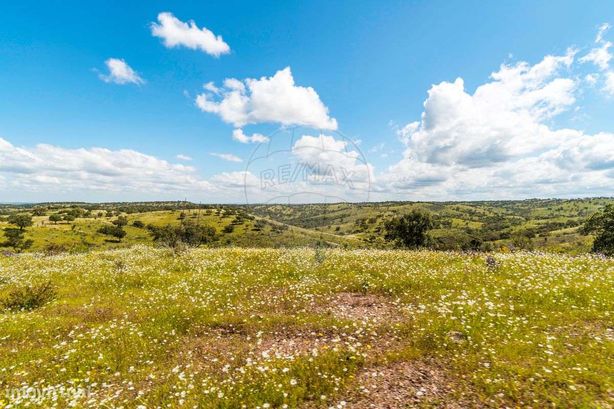 Herdade  para venda - Grande imagem: 4/21