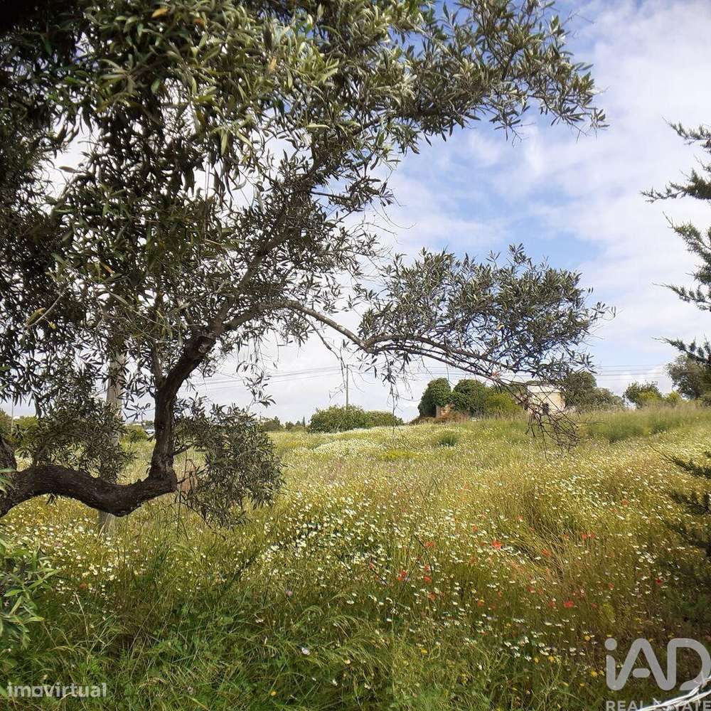 Terreno para construção em Tavira (Santa Maria e Santiago) de 31269,00 - Grande imagem: 2/8