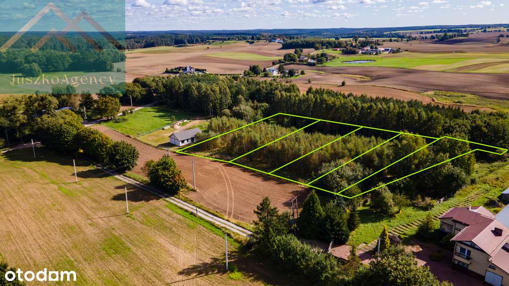 Rychnowo. Działki przy lesie z warunkami zabudowy.-16