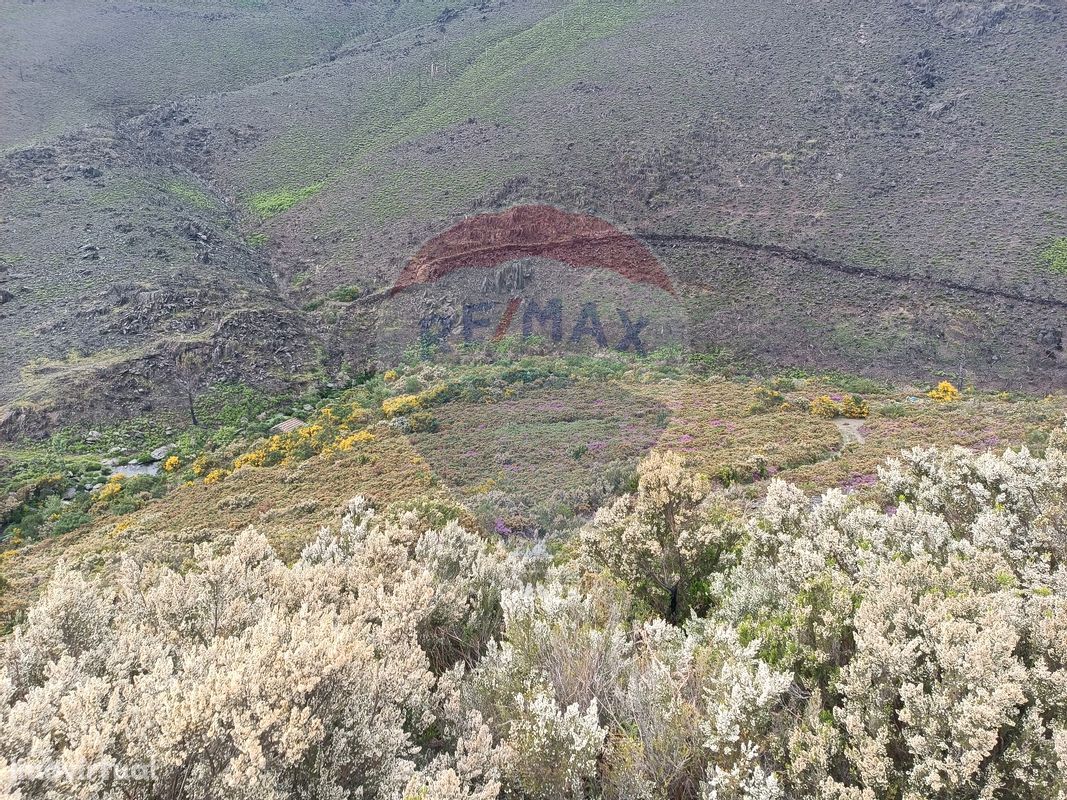 Terreno  para venda