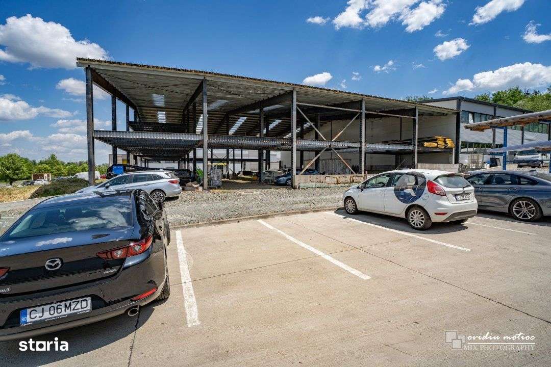 Hale in parcul Tetarom I-10