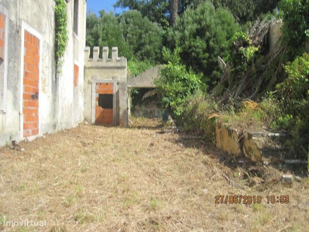 Terreno  c/ 10.000 M2 na Figueira da Foz-19