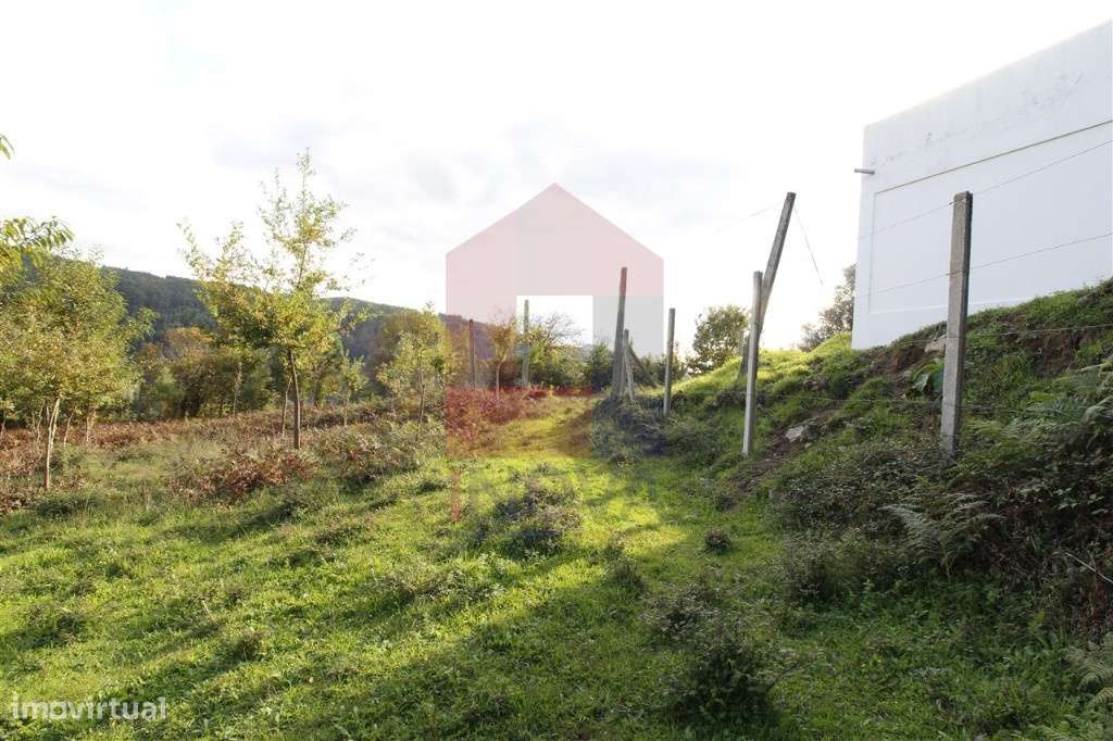 Terreno agrícola, Godinhaços - Grande imagem: 5/11