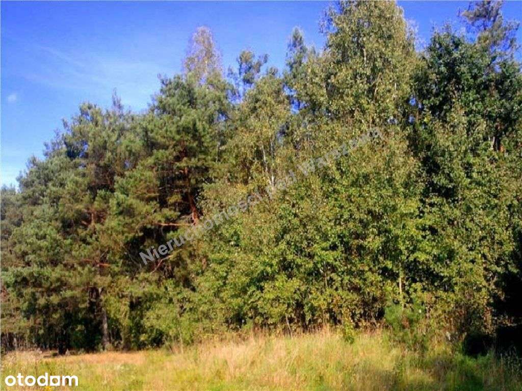 Działka Granicząca Z Lasem-3