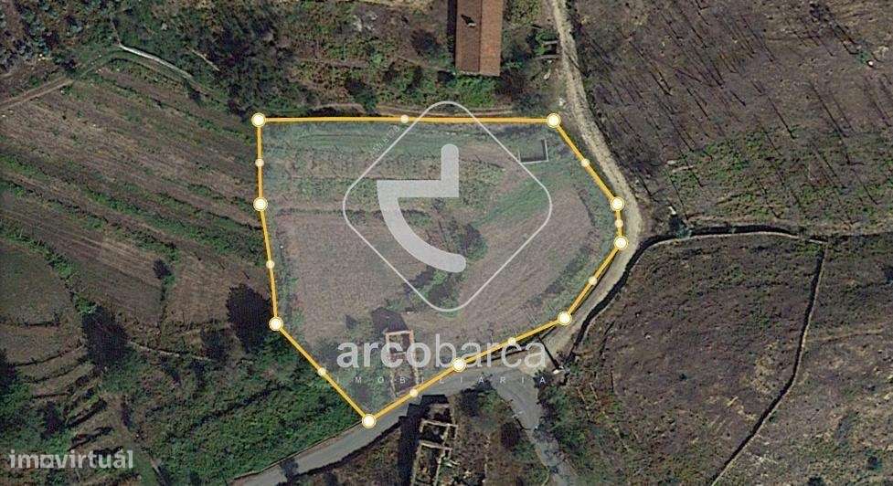 Quintinha ruinas p/restauro com 2520m2 - Moreira Lima - Ponte de Lima-24