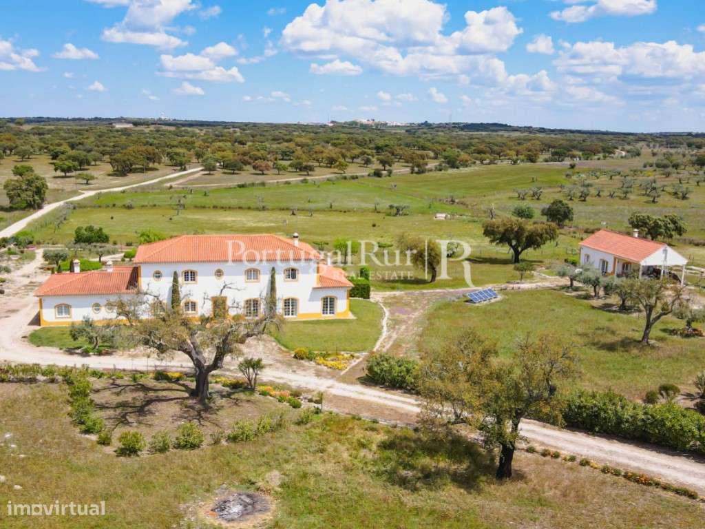 Excelente quinta de 3,95ha com 2 casas - Grande imagem: 3/60