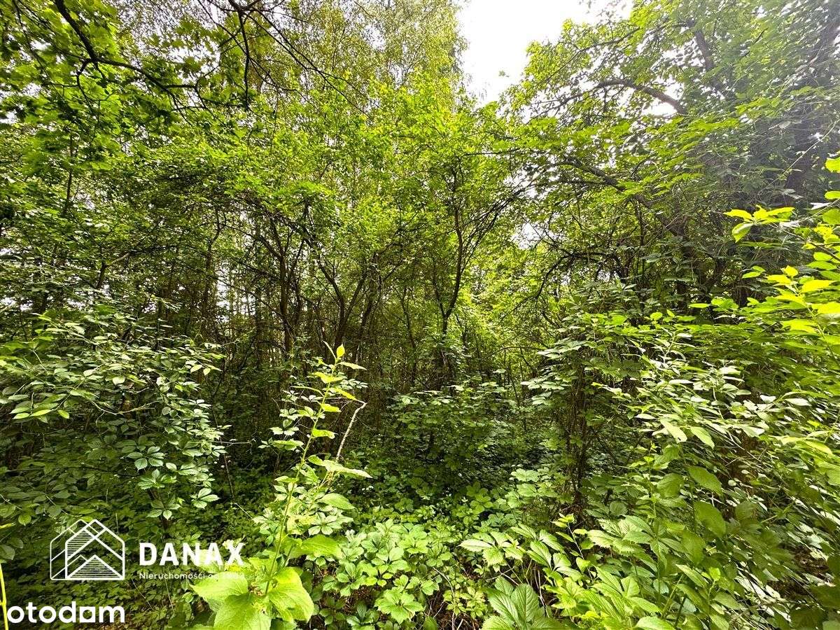 Wyjątkowa działka w otoczeniu lasu o pow. 49a - Pełny obrazek: 5/5