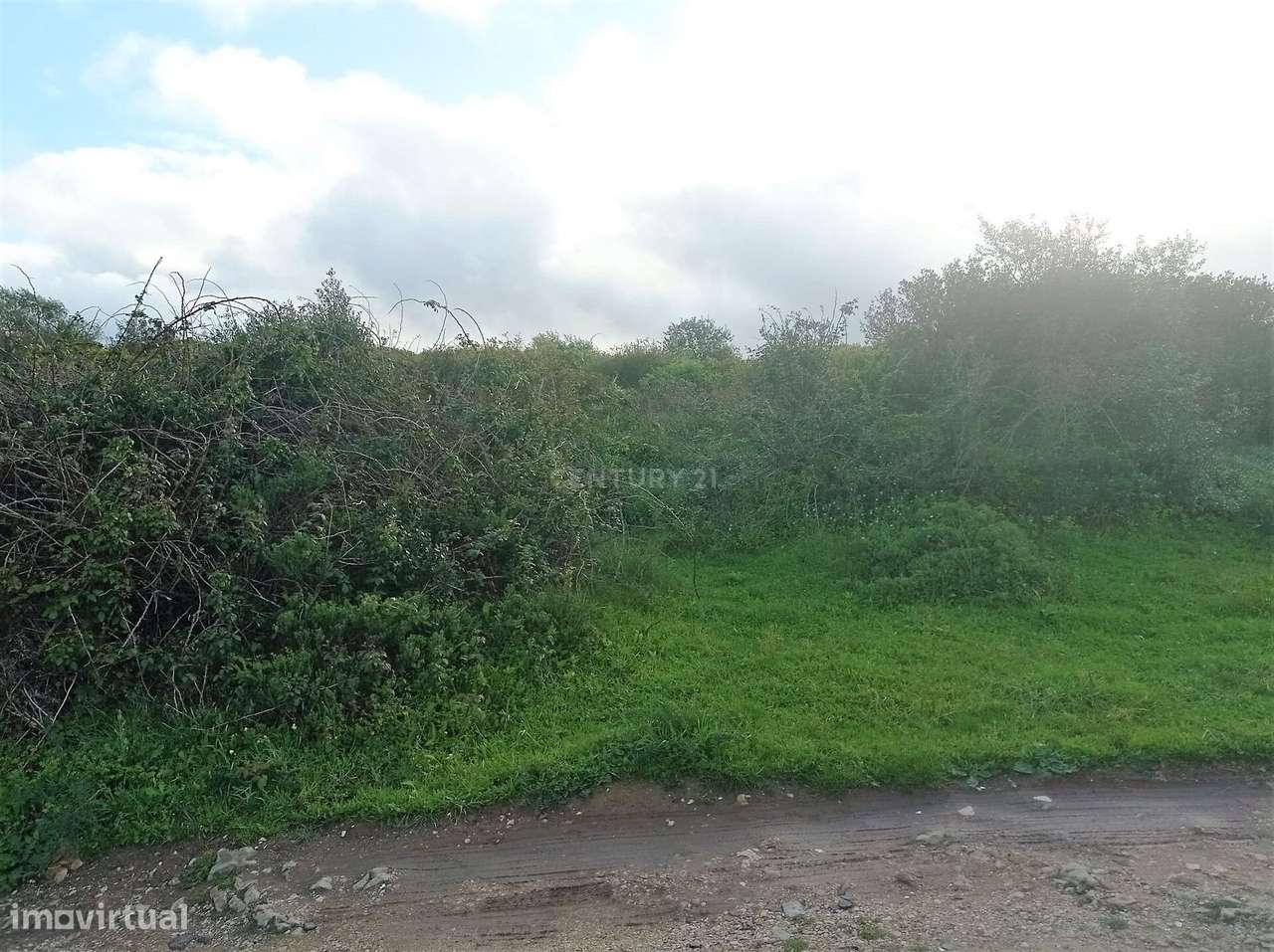 Terreno rústico na Tapada da Serra, Vale de Lobos - Grande imagem: 2/10
