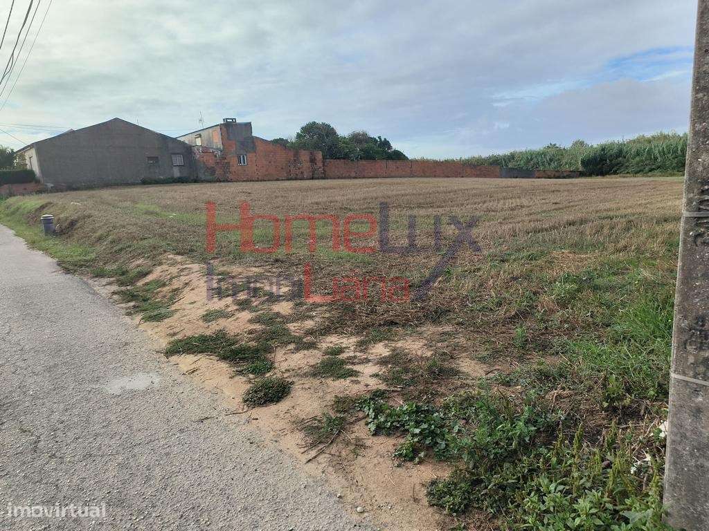 Terreno Urbano com 43.56m² Frente. - Grande imagem: 2/4