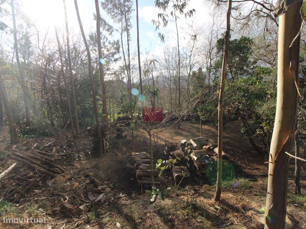 Terreno - Grande imagem: 4/7